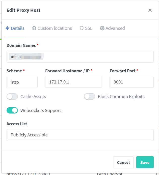 Nginx Proxy Manager 代理主机配置