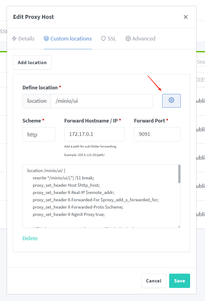 Nginx Proxy Manager 高级配置入口