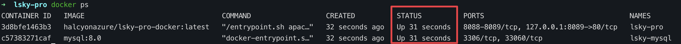Docker-ps